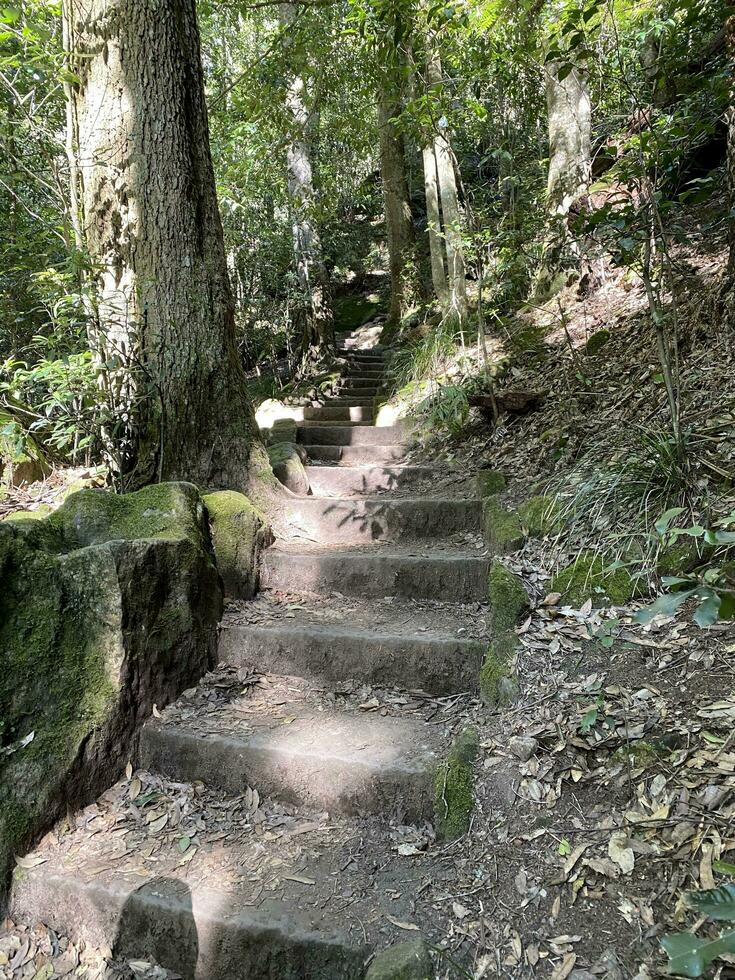 Grand Canyon Walk Katoomba NSW photo