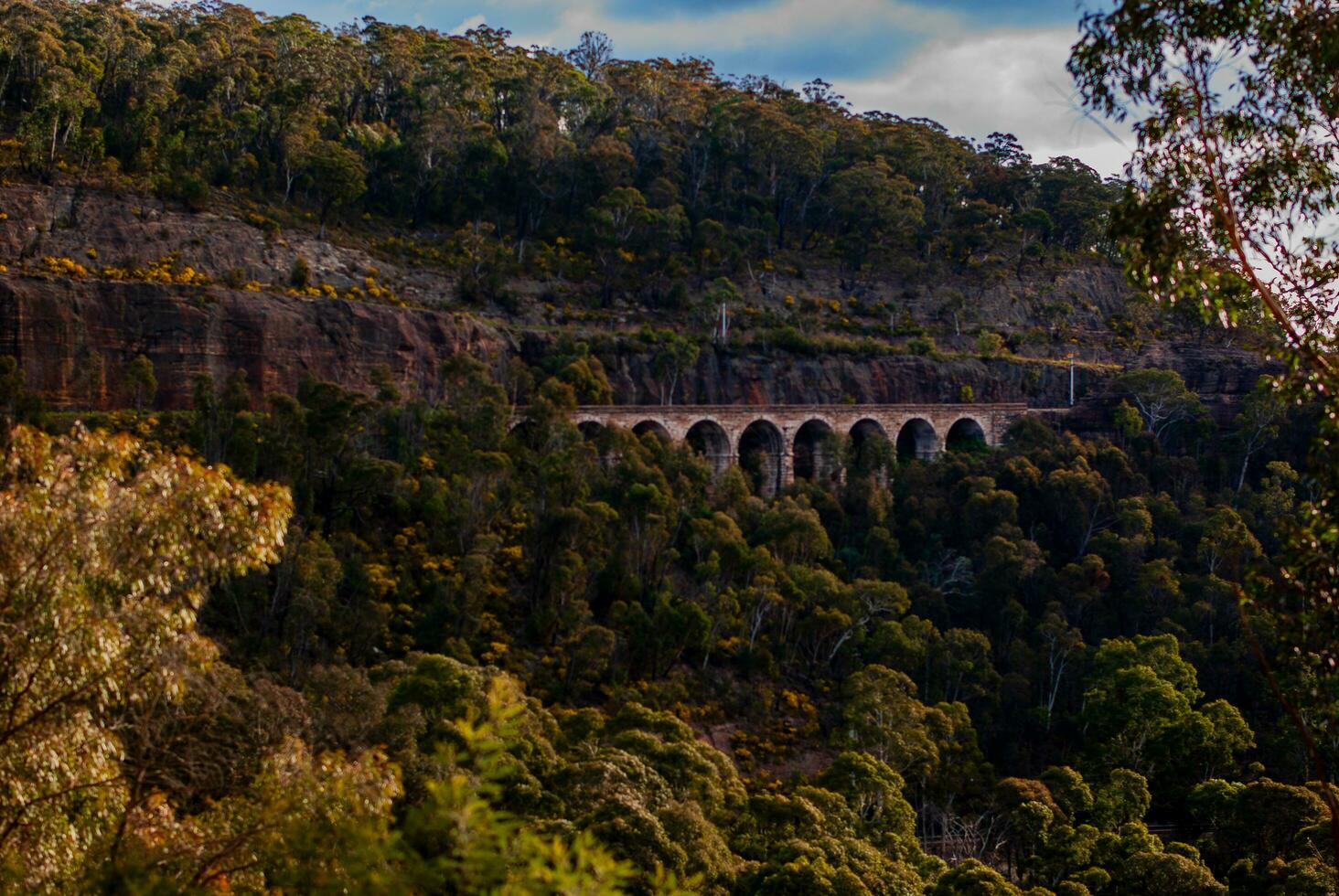 bridge for train photo