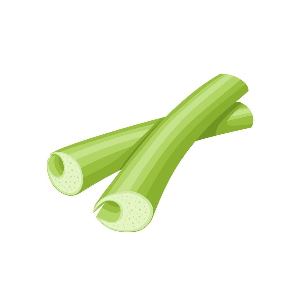 Vector illustration, taro stem, isolated on white background.