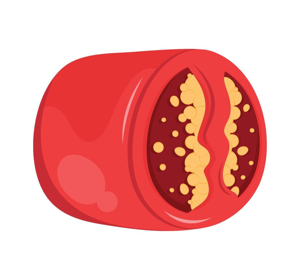 poblano chilli pepper half icon vector