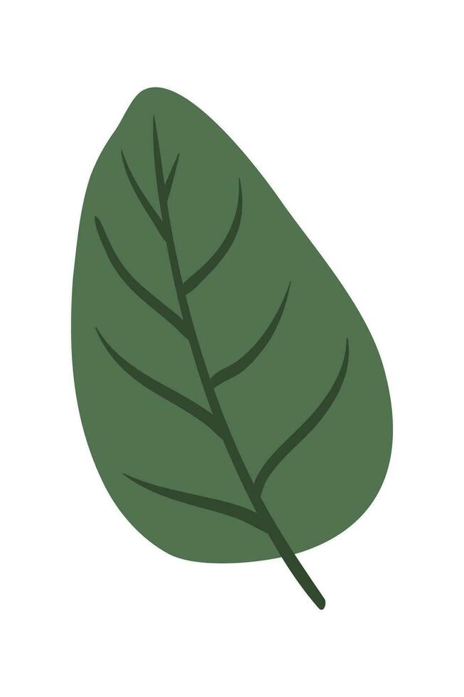 Tropical leaves Elements. Hand-drawn vector illustration. Tropical leaves and abstract exotic plan vector design elements on the white background.