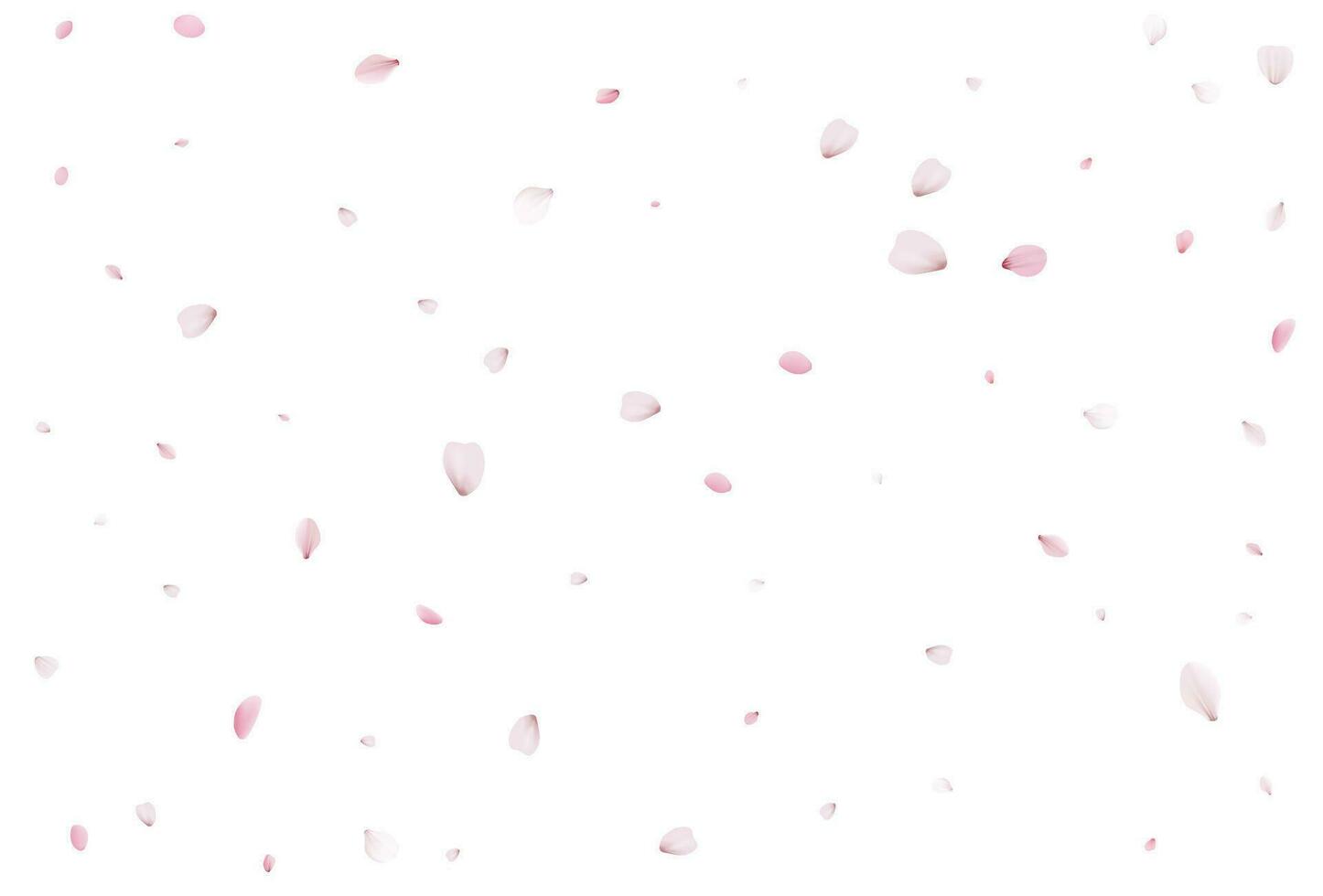 Sakura flying petals, romantic background. vector