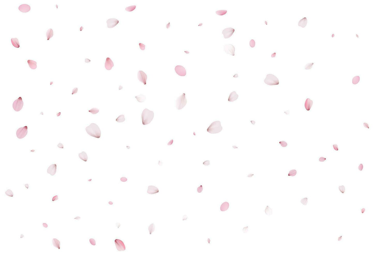 Sakura flying petals, romantic background. vector