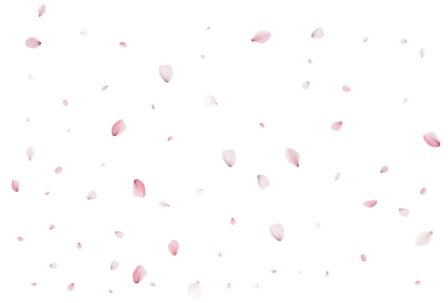 Sakura flying petals, romantic background. vector