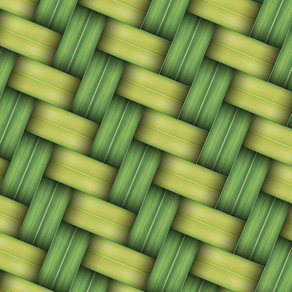 Woven palm leaf pattern texture background vector