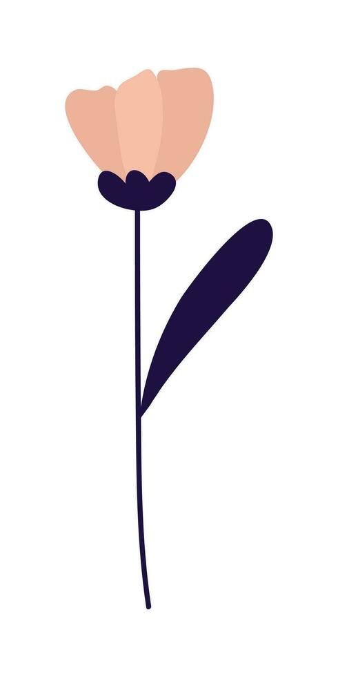 Gardening Element Illustration. Plant And Flower Illustration. Summer, Spring Season Elements. vector