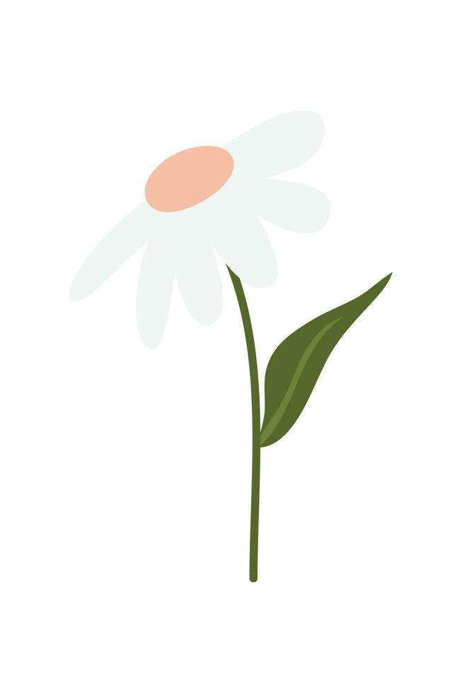 Gardening Element Illustration. Plant And Flower Illustration. Summer, Spring Season Elements. vector