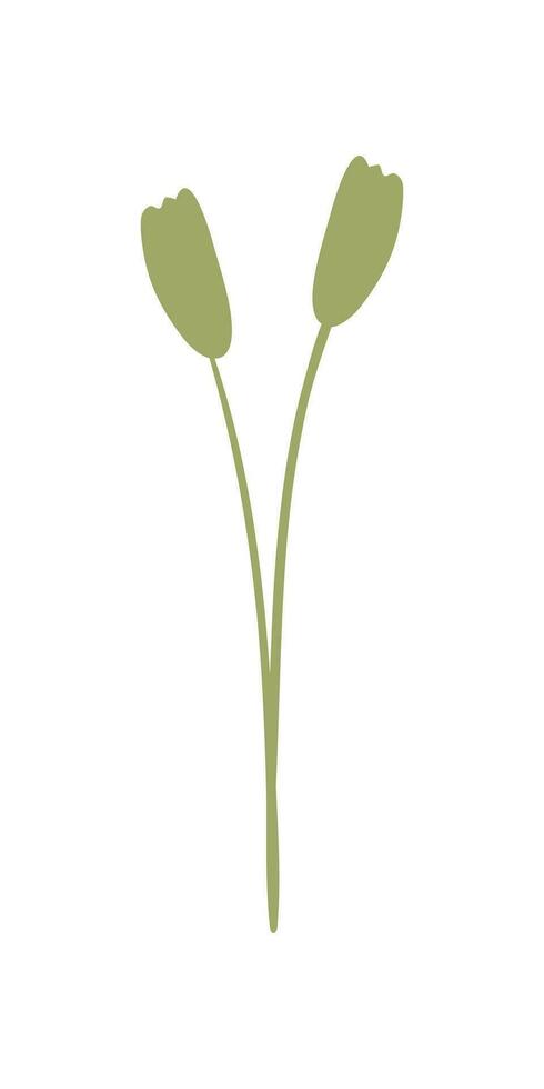 Gardening Element Illustration. Plant And Flower Illustration. Summer, Spring Season Elements. vector