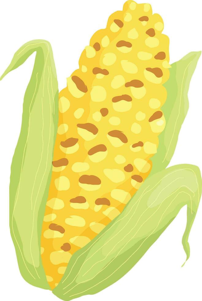 Corn indian food illustration vector