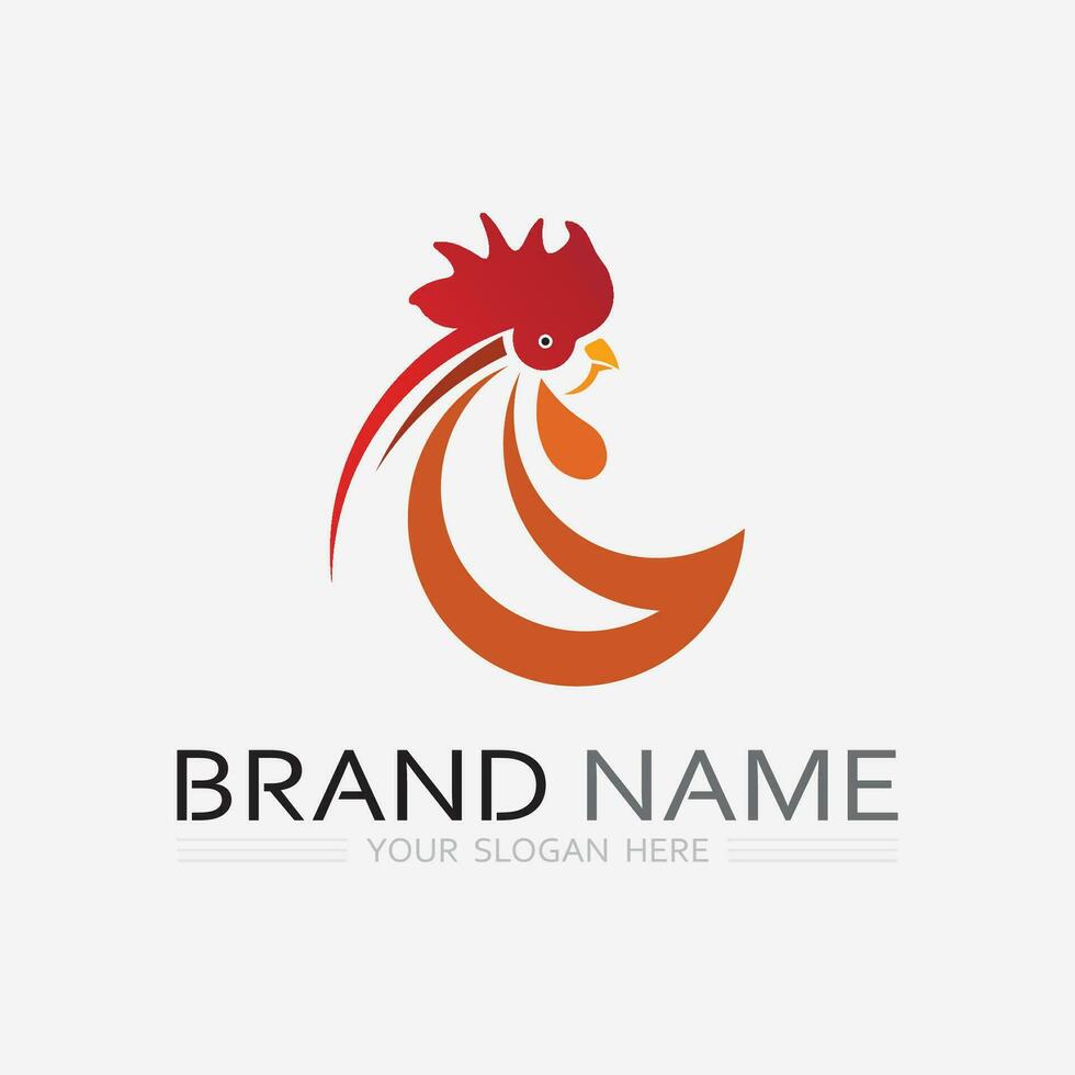 chicken logo  rooster and hen logo for poultry farming  animal logo vector illustration design