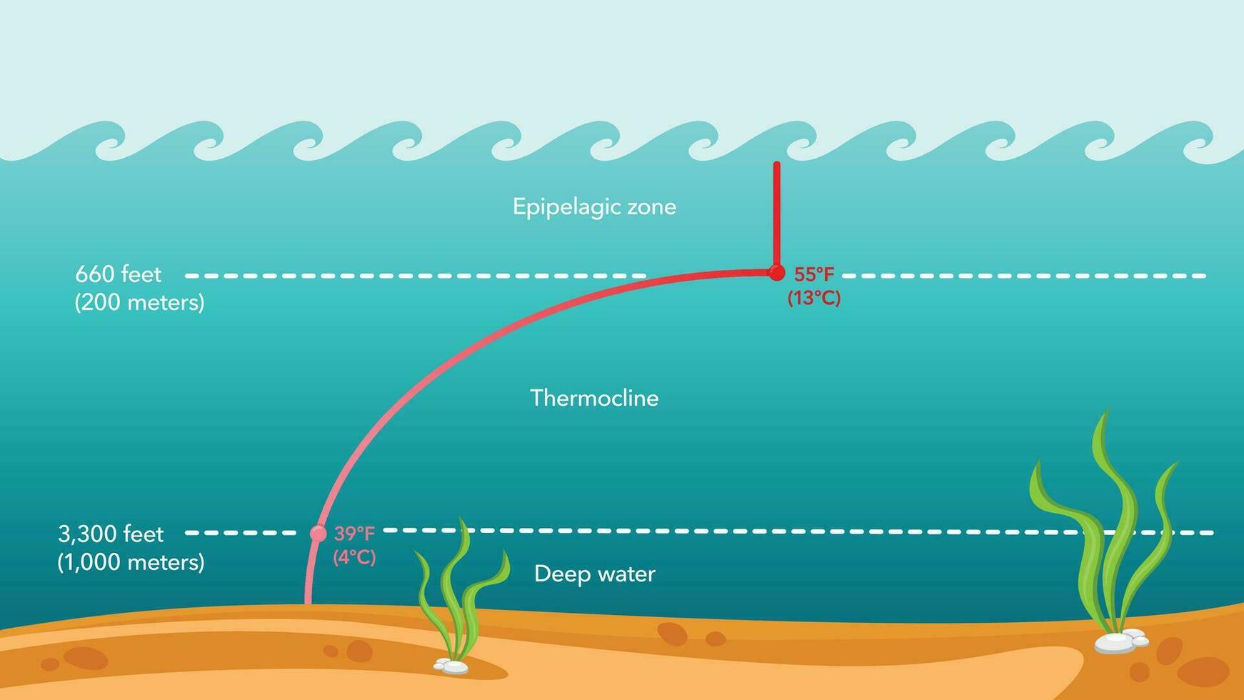 termoclina agua temperatura vector ilustración infografía