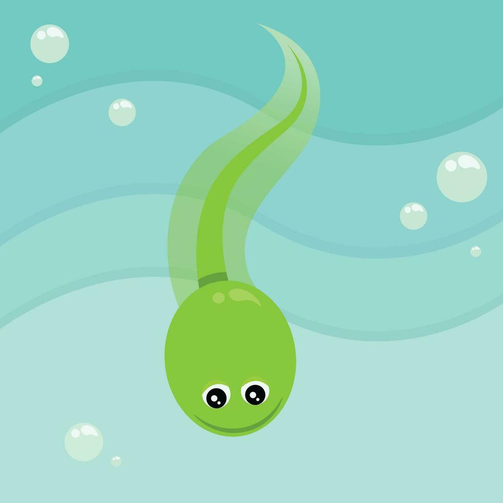 Xenopus tadpole cartoon character vector illustration graphic