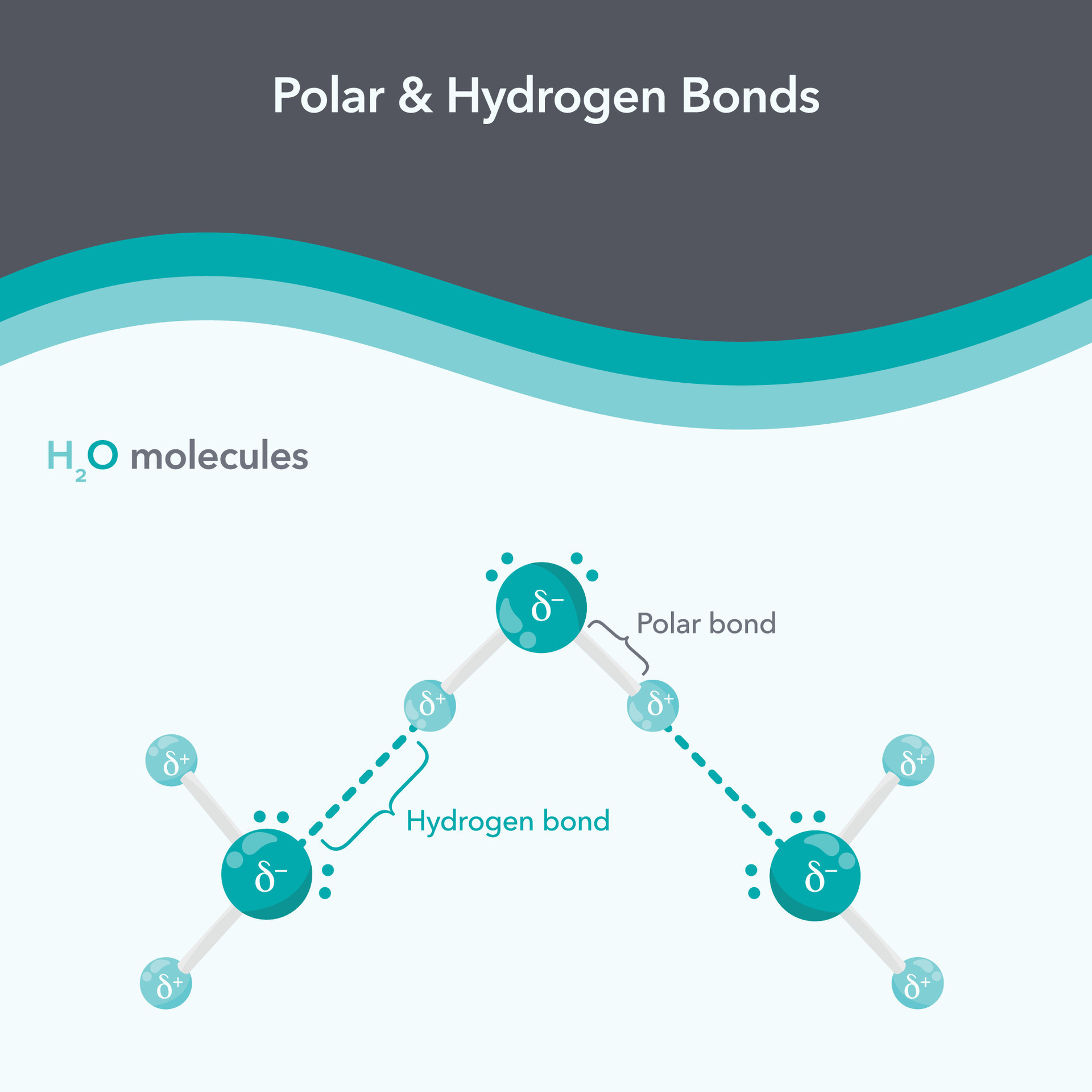 Ch4 Hydrogen Bonds? The Shocking Truth! - 2p96zb4