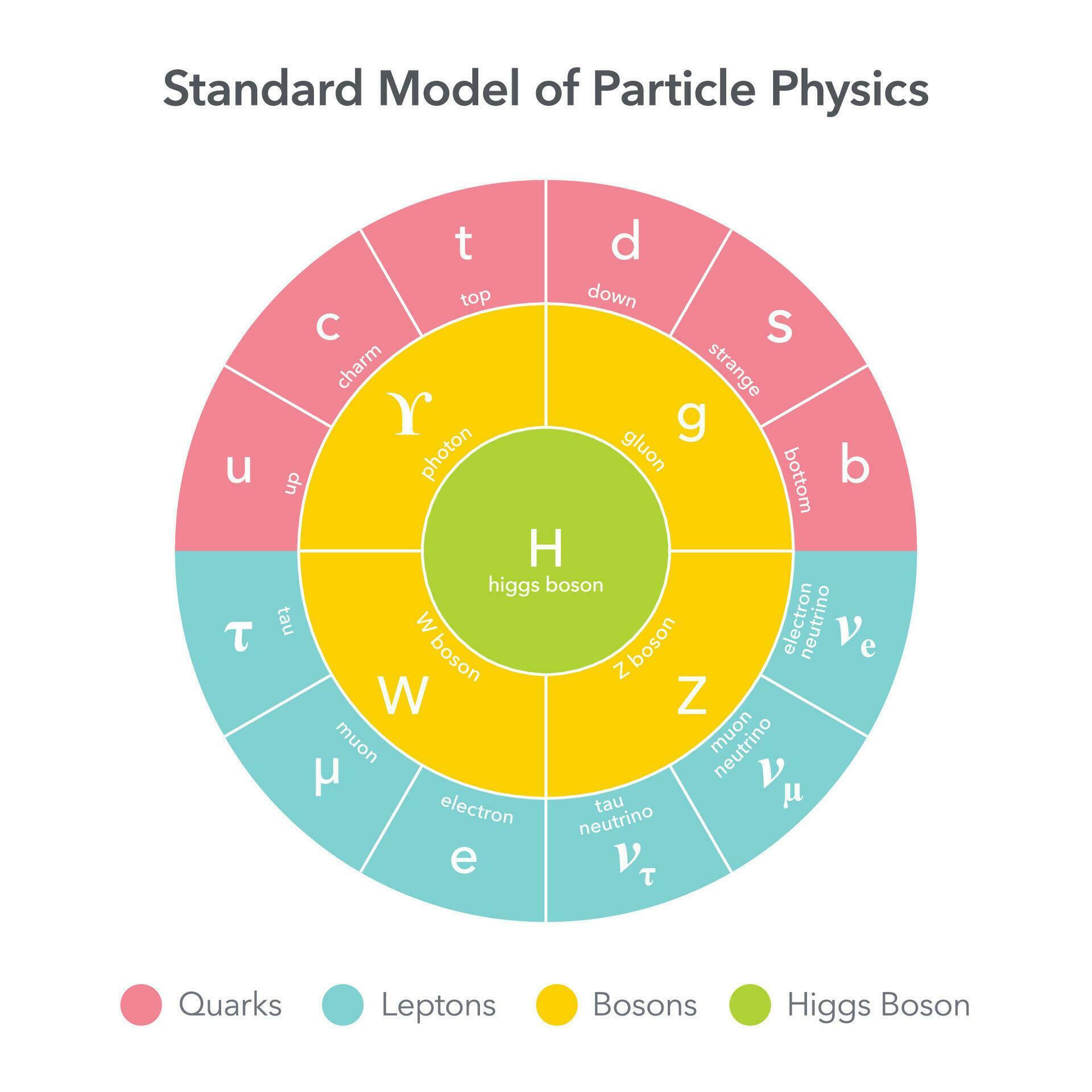 Standard Model of Particle Physics vector illustration chart 26586281