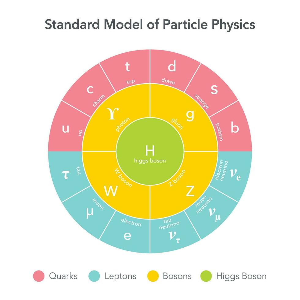 estándar modelo de partícula física vector ilustración gráfico