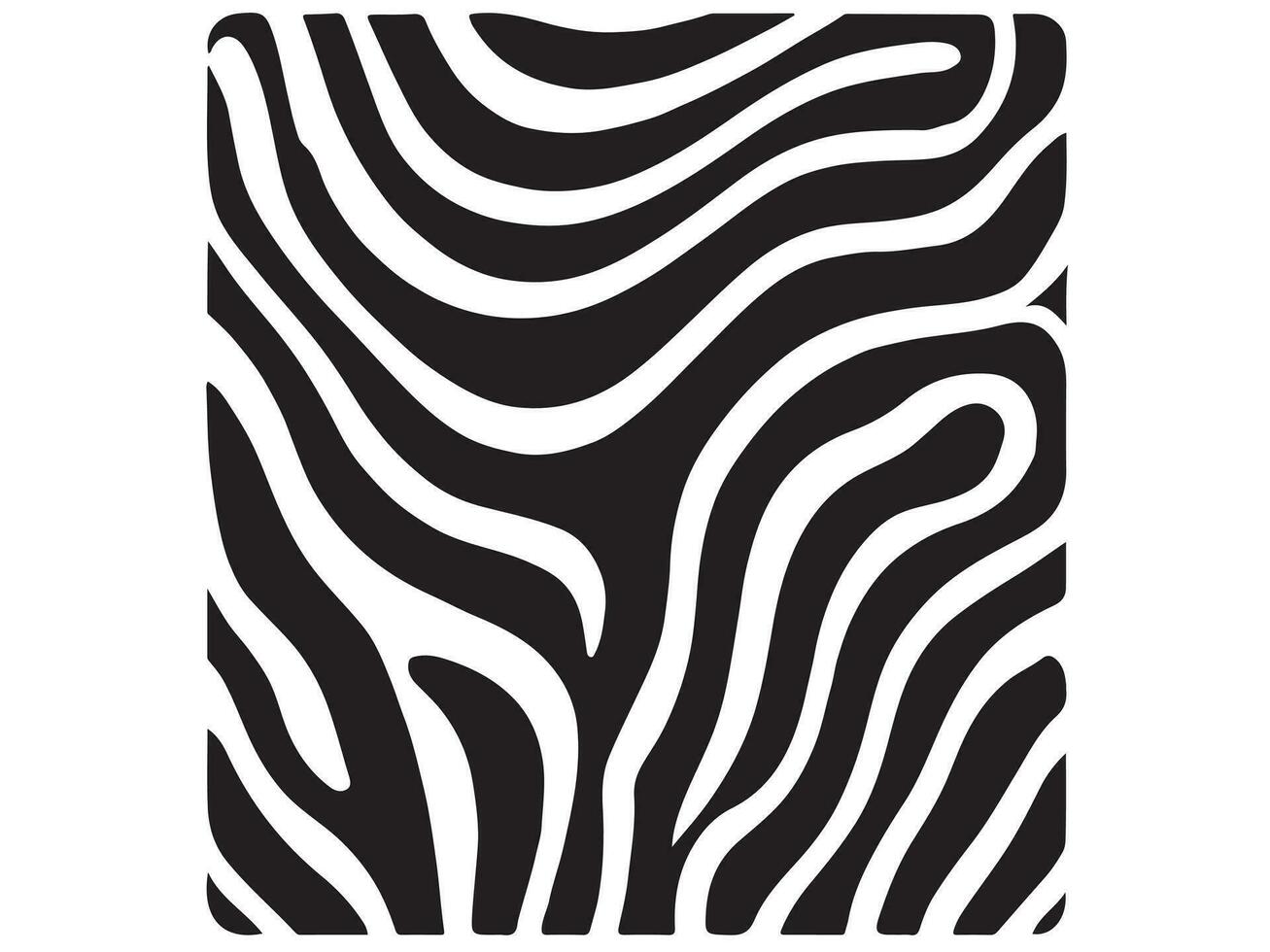 Zebra Texture Vector