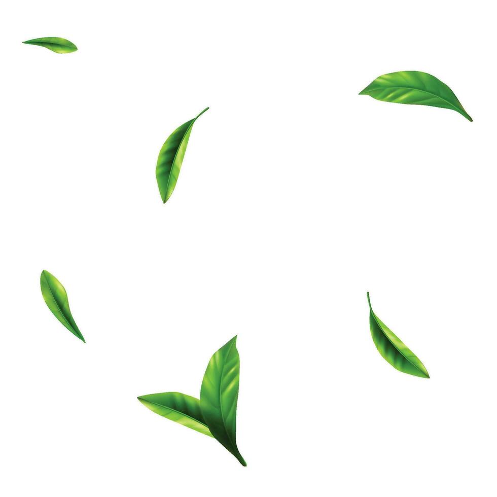 Vector fresh green leaves flying on wind
