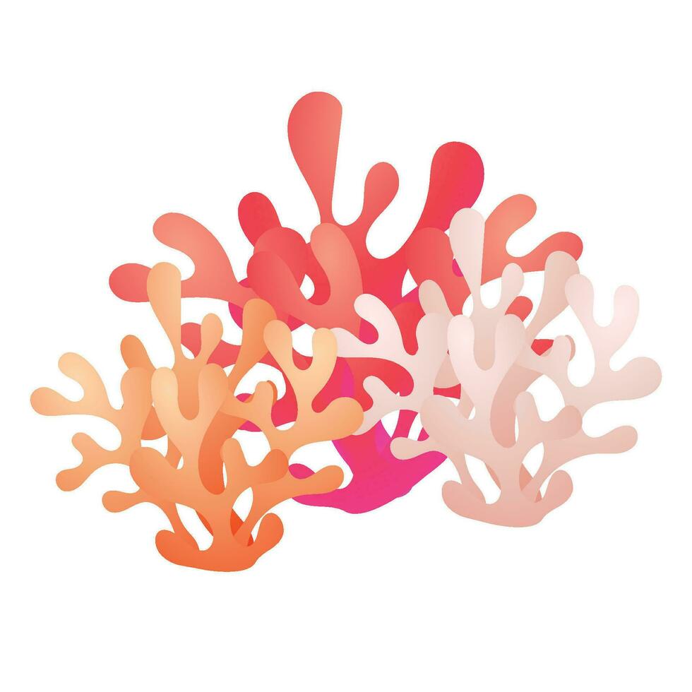 Vector hand drawn colorful coral collection