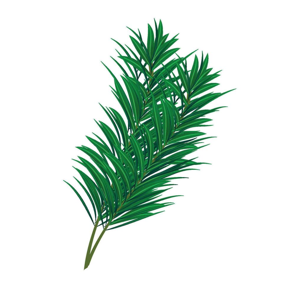 Vector green tree branch