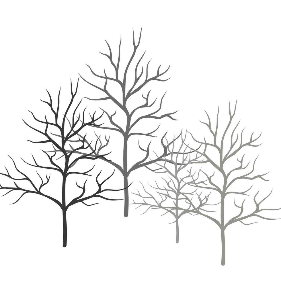 árbol sin hojas silueta vector elementos