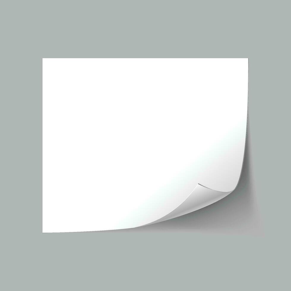 Vector white empty paper sheet with curl
