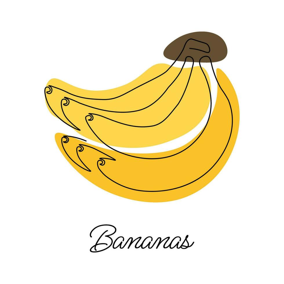 Vector illustration of bunch of bananas with lettering