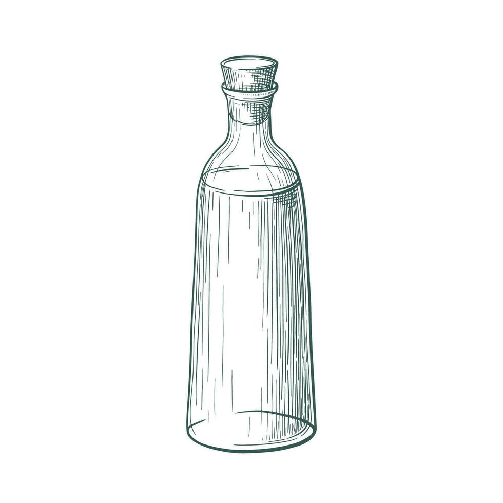 Glass bottle. Vector vintage sketch. Essential