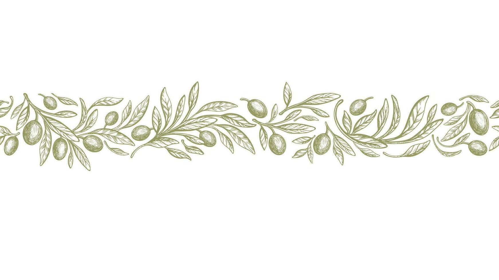 Olive border, rustic seamless pattern. Vector band