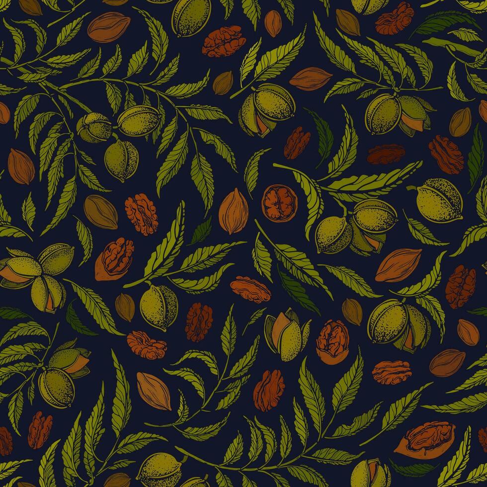 Pecan seamless print. Vector graphic illustration