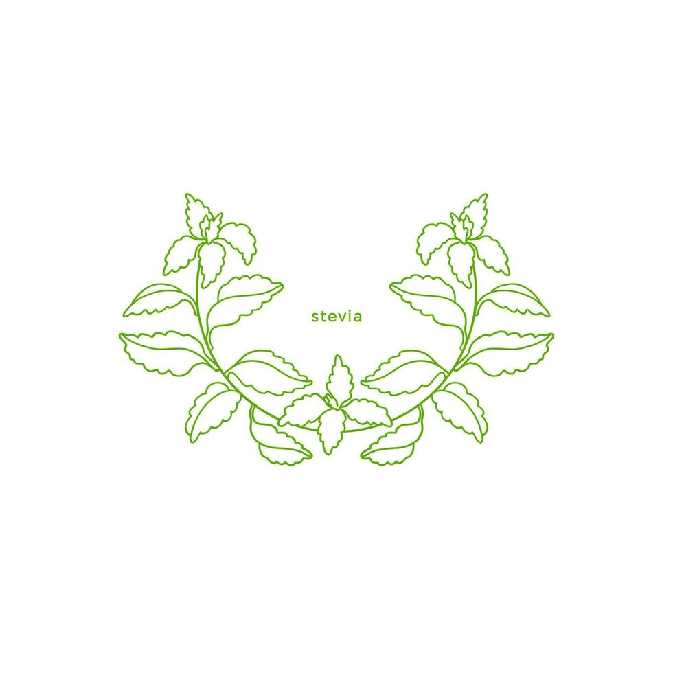 Stevia simple symbol. Vector branch, sugar leaf
