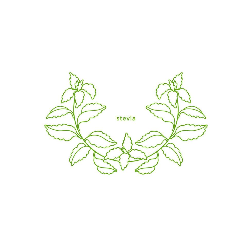 stevia sencillo símbolo. vector rama, azúcar hoja