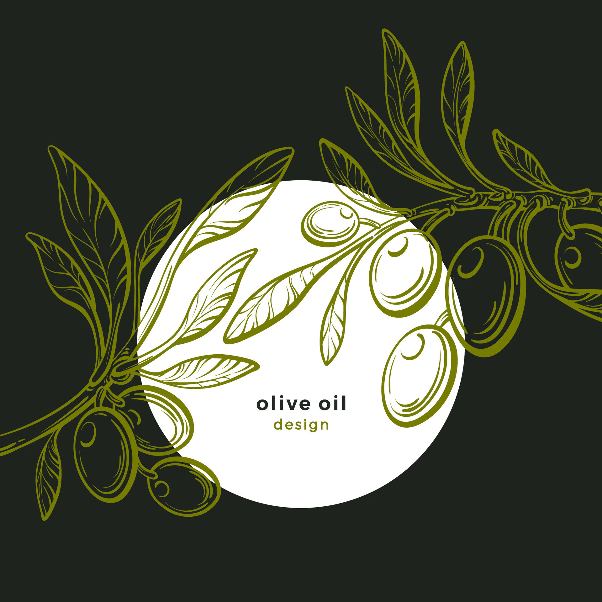 Olive plant. Graphic design. Vector green fruit 26591046 Vector Art at