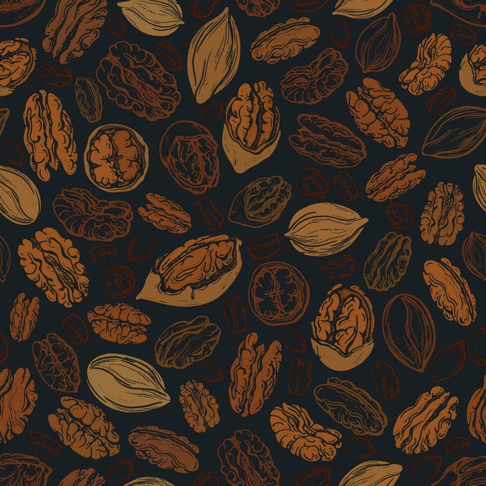 Pecan nuts seamless pattern. Vector illustration