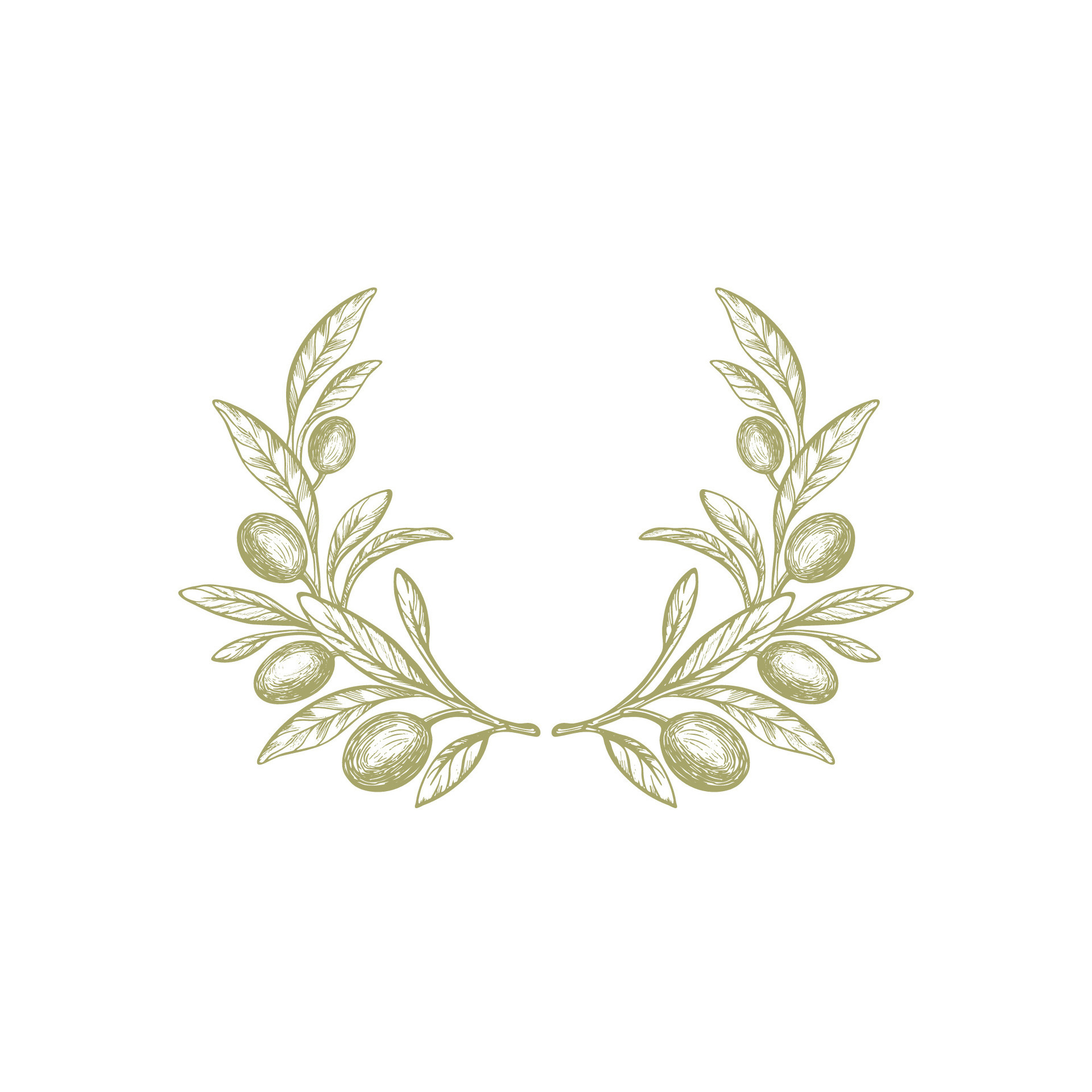 Olive branch, wreath. Vector fruit, green foliage 26591065 Vector Art