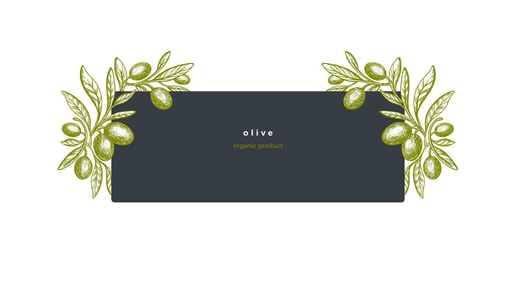 Olive label Vector texture tree, green fruit, leaf