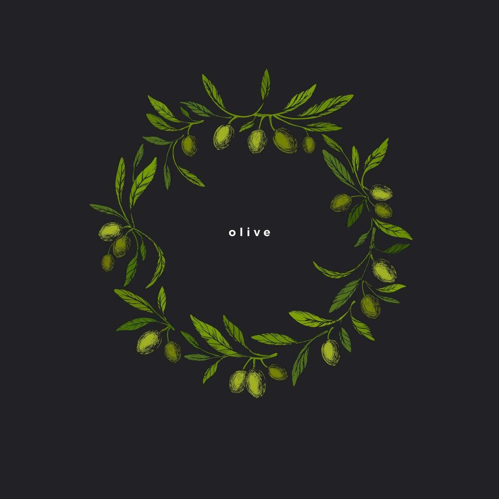 Olives wreath. Vector engraved branch in circle