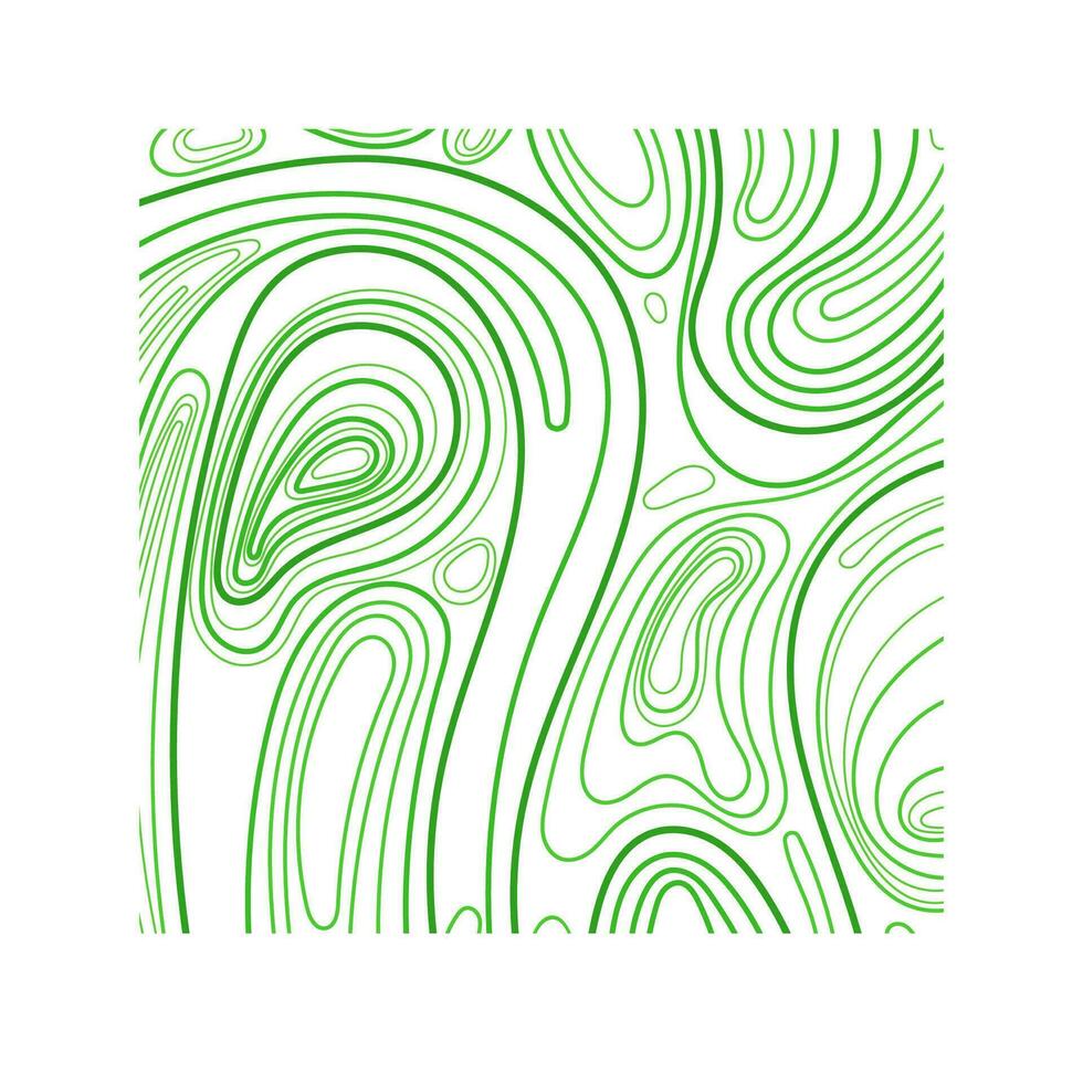 Topographic lines. Rice green plantation, top view vector