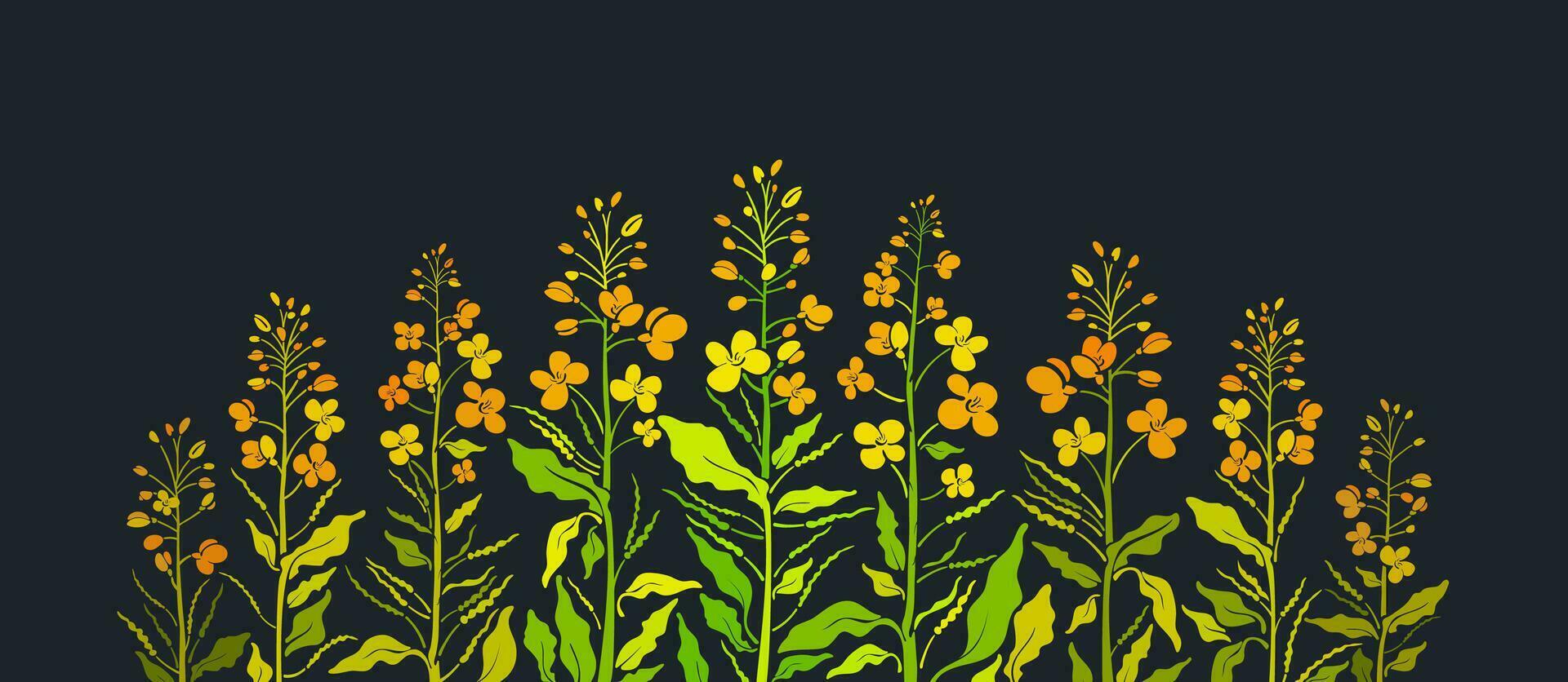 Mustard, rapeseed flowers. Aroma sauce, herb spice vector