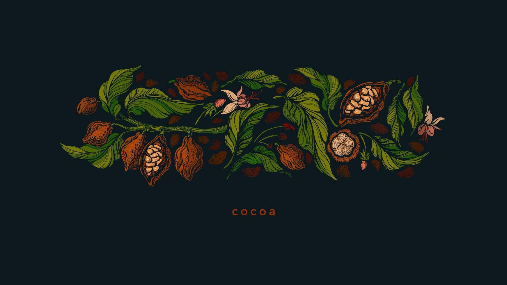 Cocoa fruit, beans. Organic chocolate. Art pattern vector