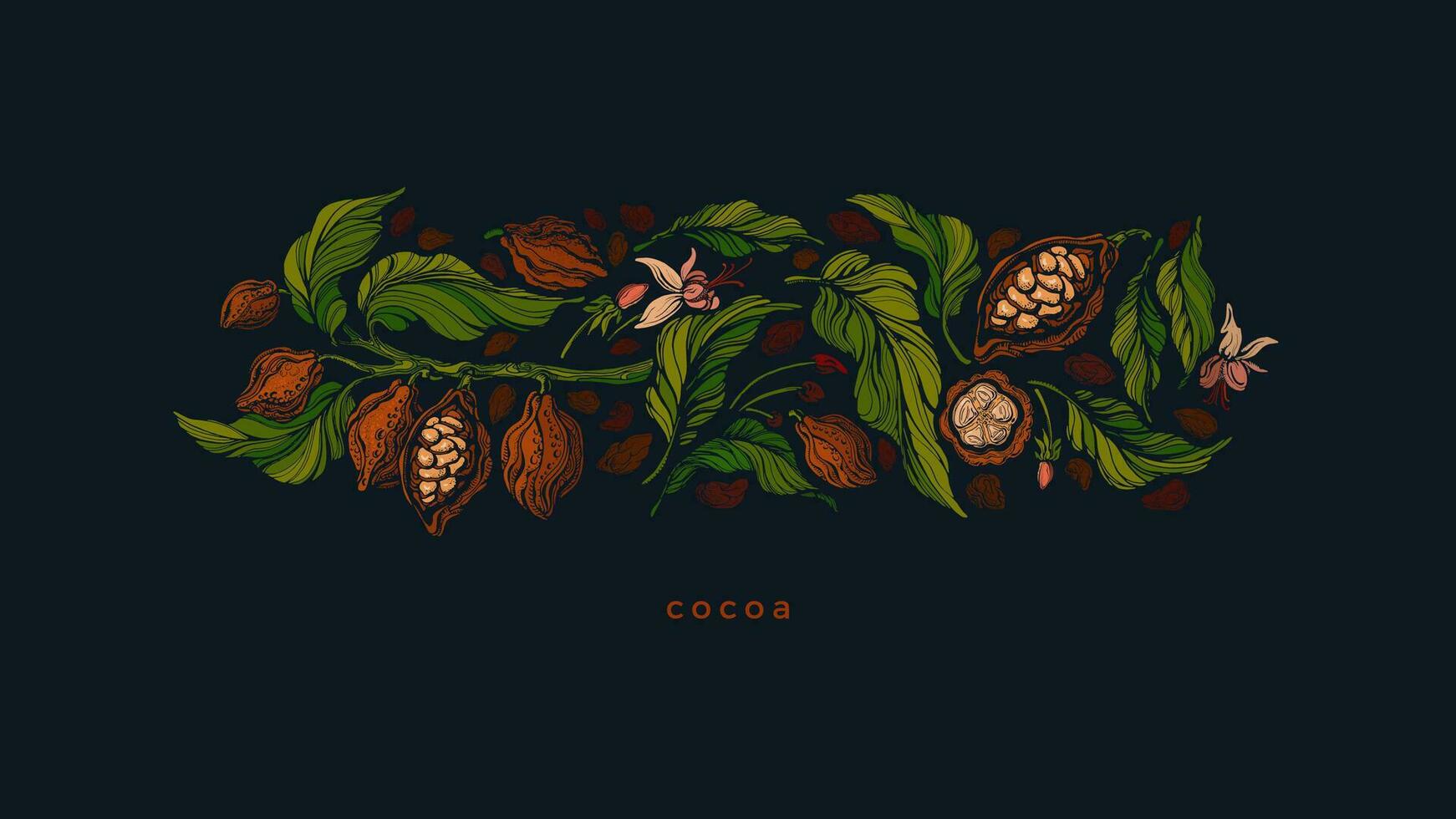 cacao fruta, frijoles. orgánico chocolate. Arte modelo vector