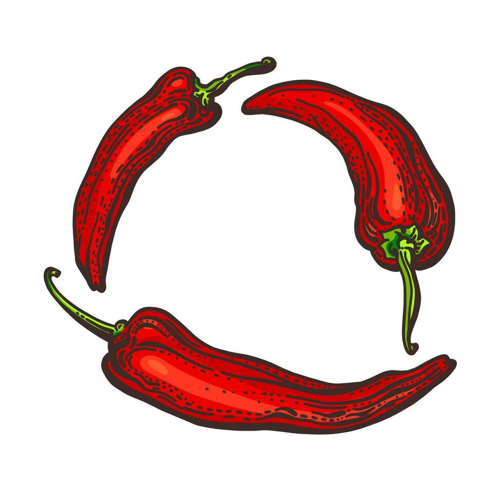 Red pepper chilli. Vector set in circle. Hot spice