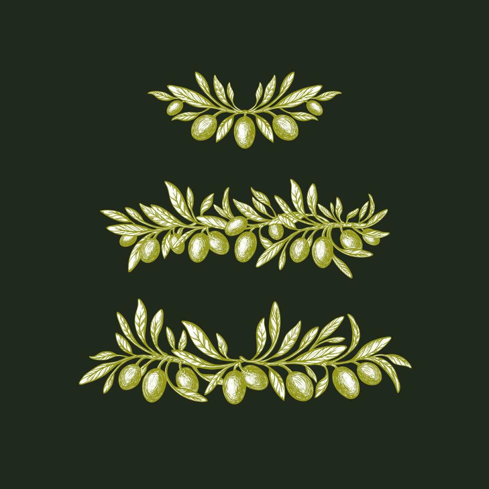 Olive set. Hand drawn border. Vector green fruit