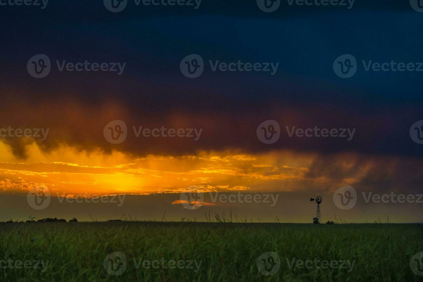 a sunset over a field with a windmill in the background photo