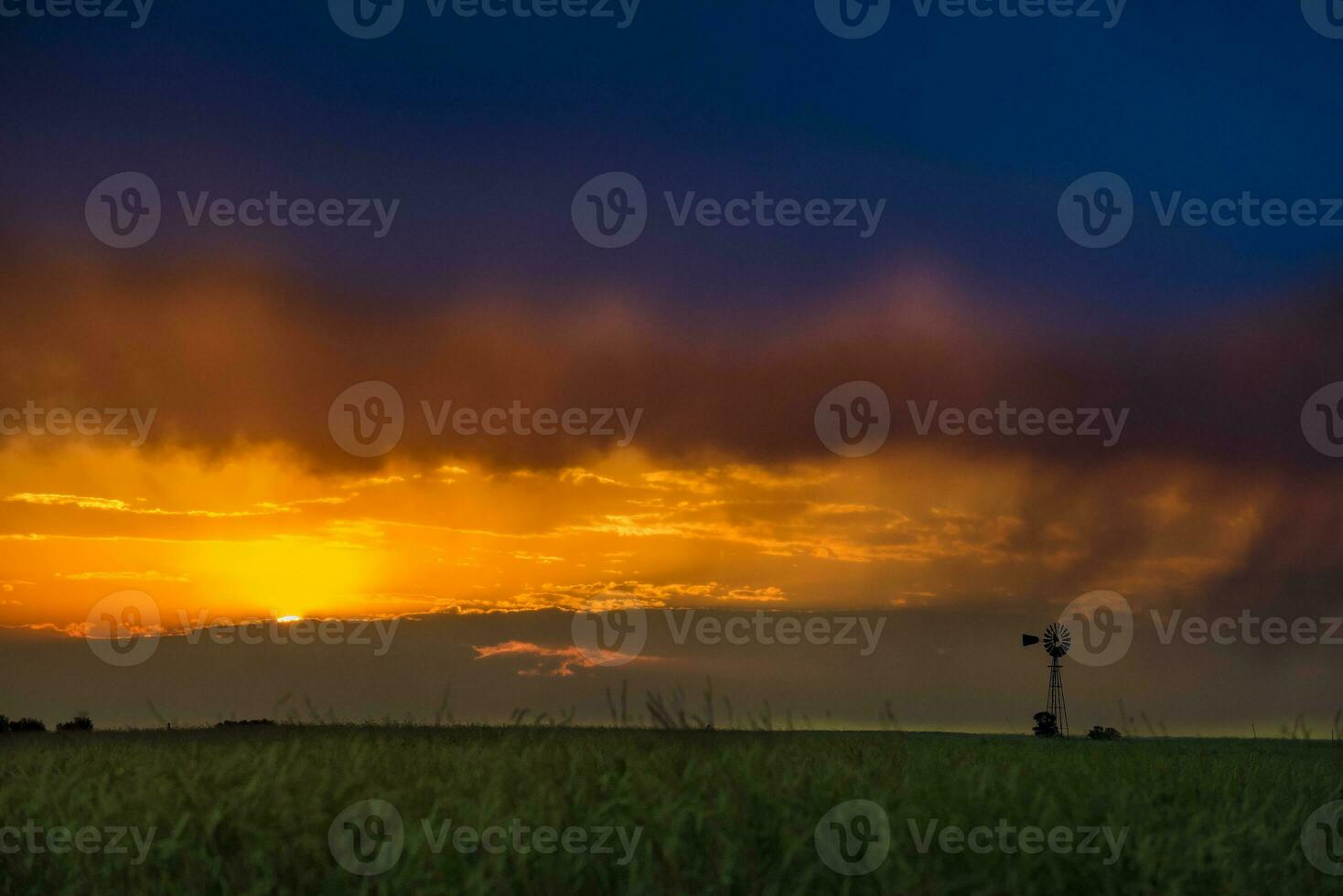 a sunset over a field with a windmill in the background photo