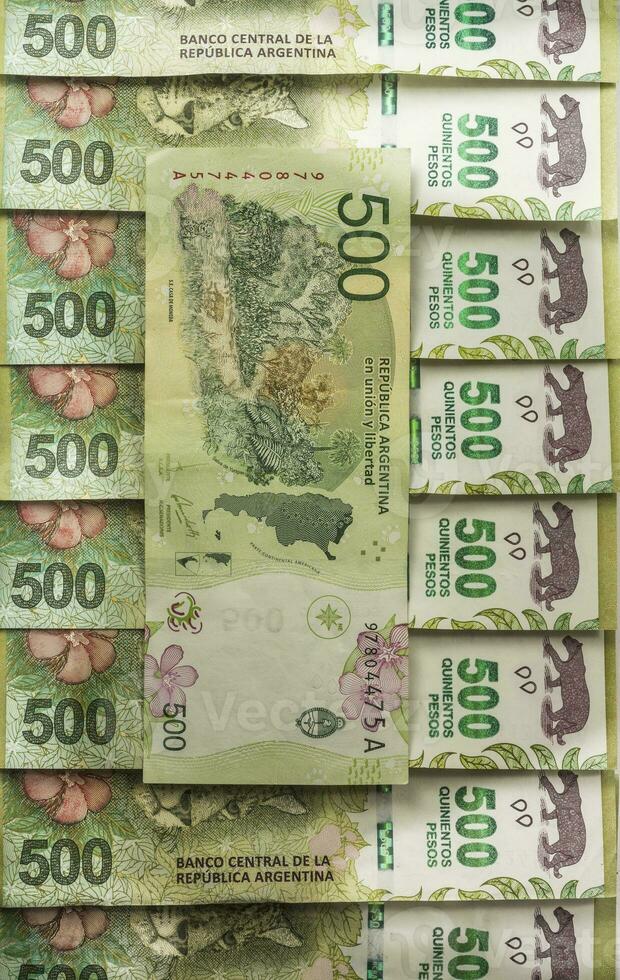 a pile of money with a picture of a bear on it photo