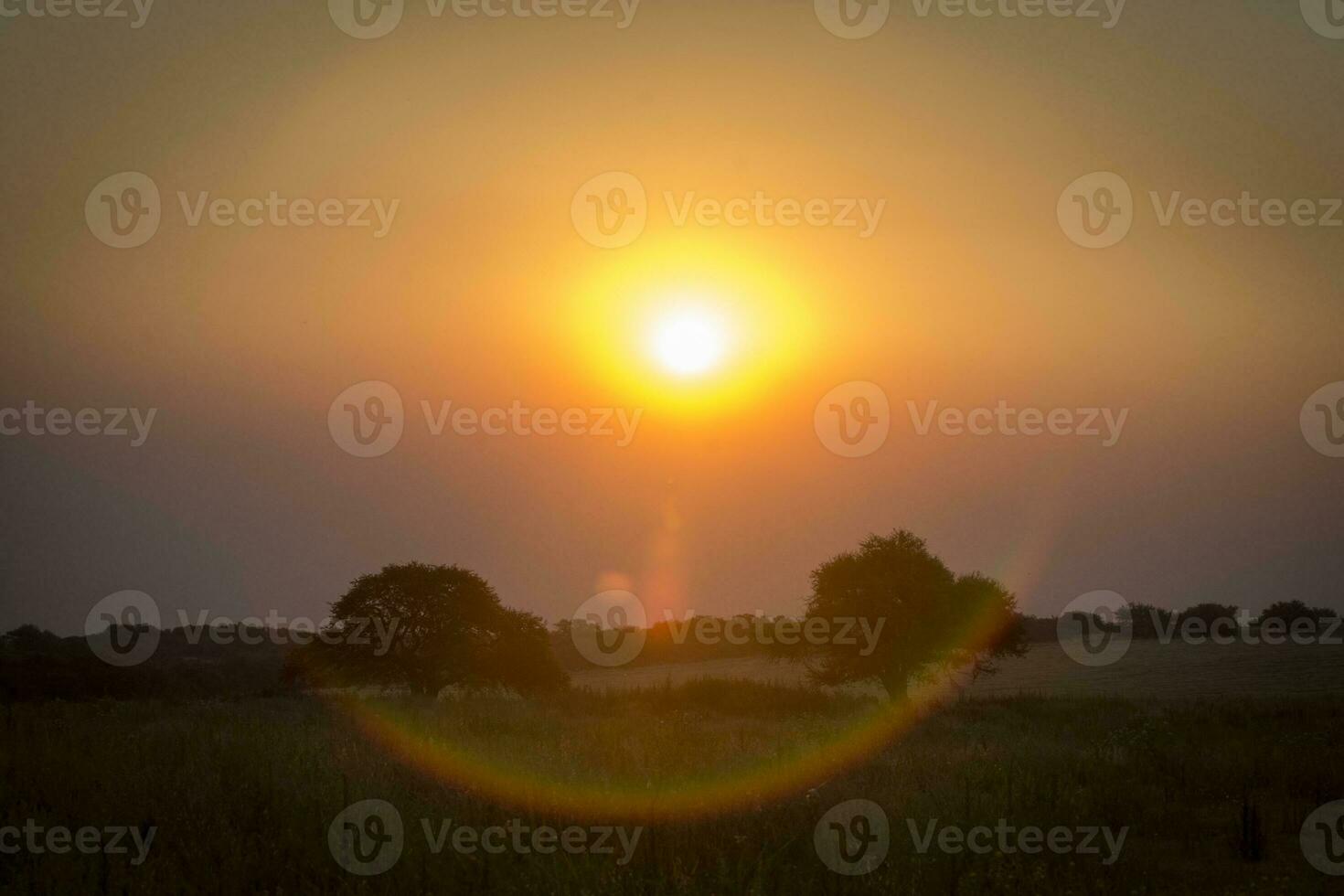 a sun setting over a field with trees and grass photo