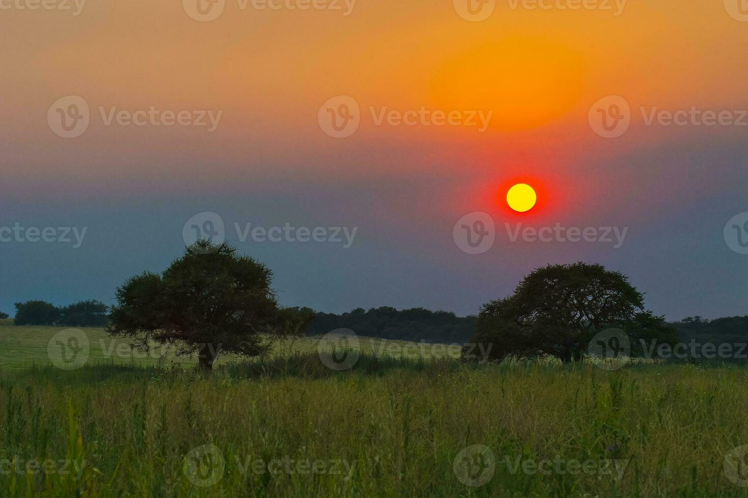 a sun setting over a field with trees and grass photo
