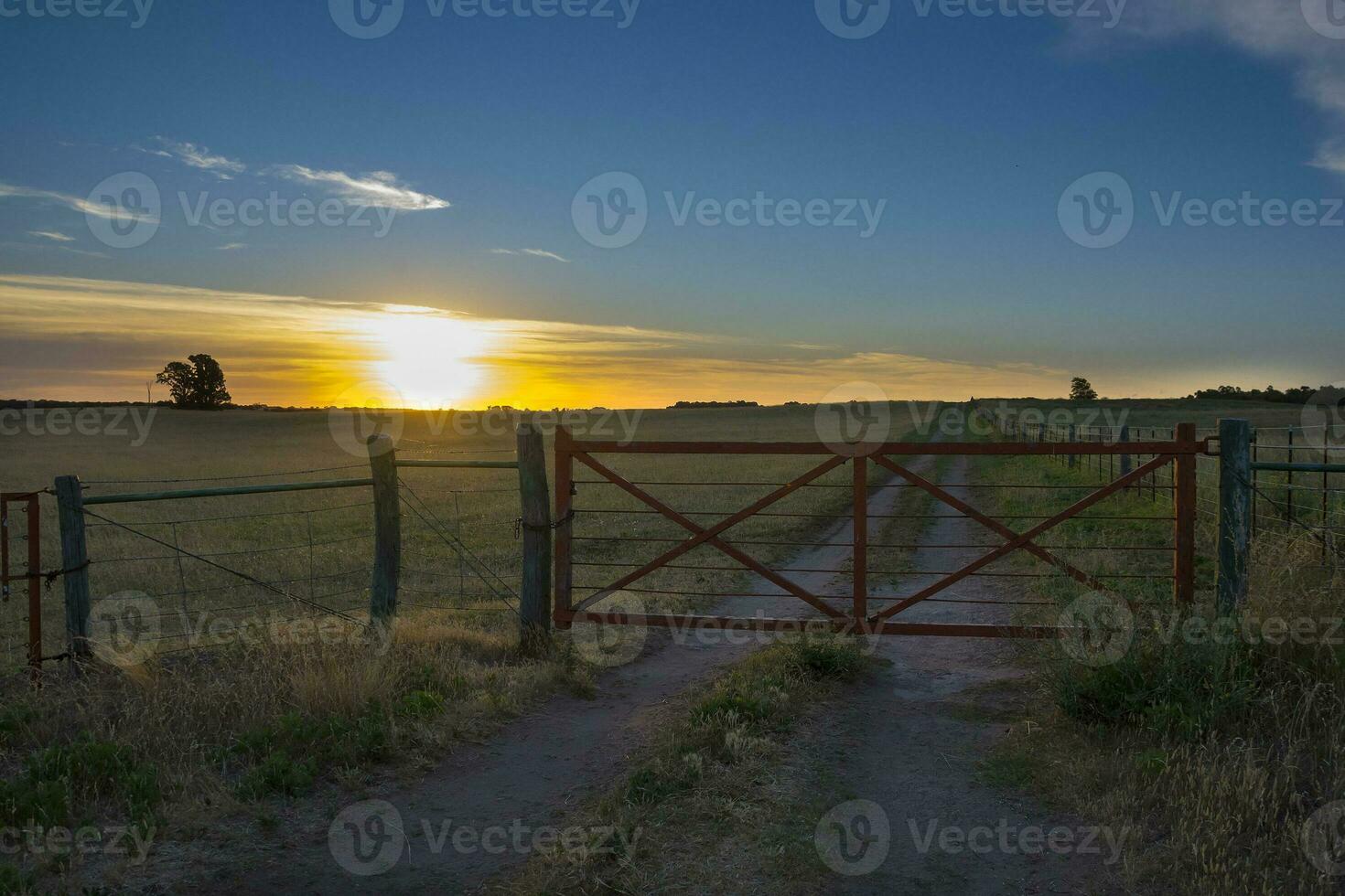 a gate in a field with a sunset behind it photo