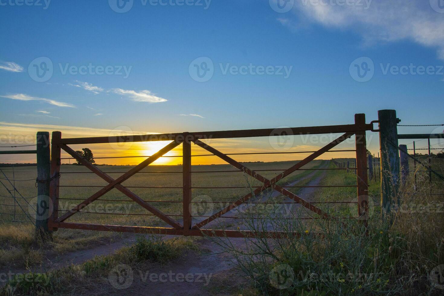 a gate that is open photo