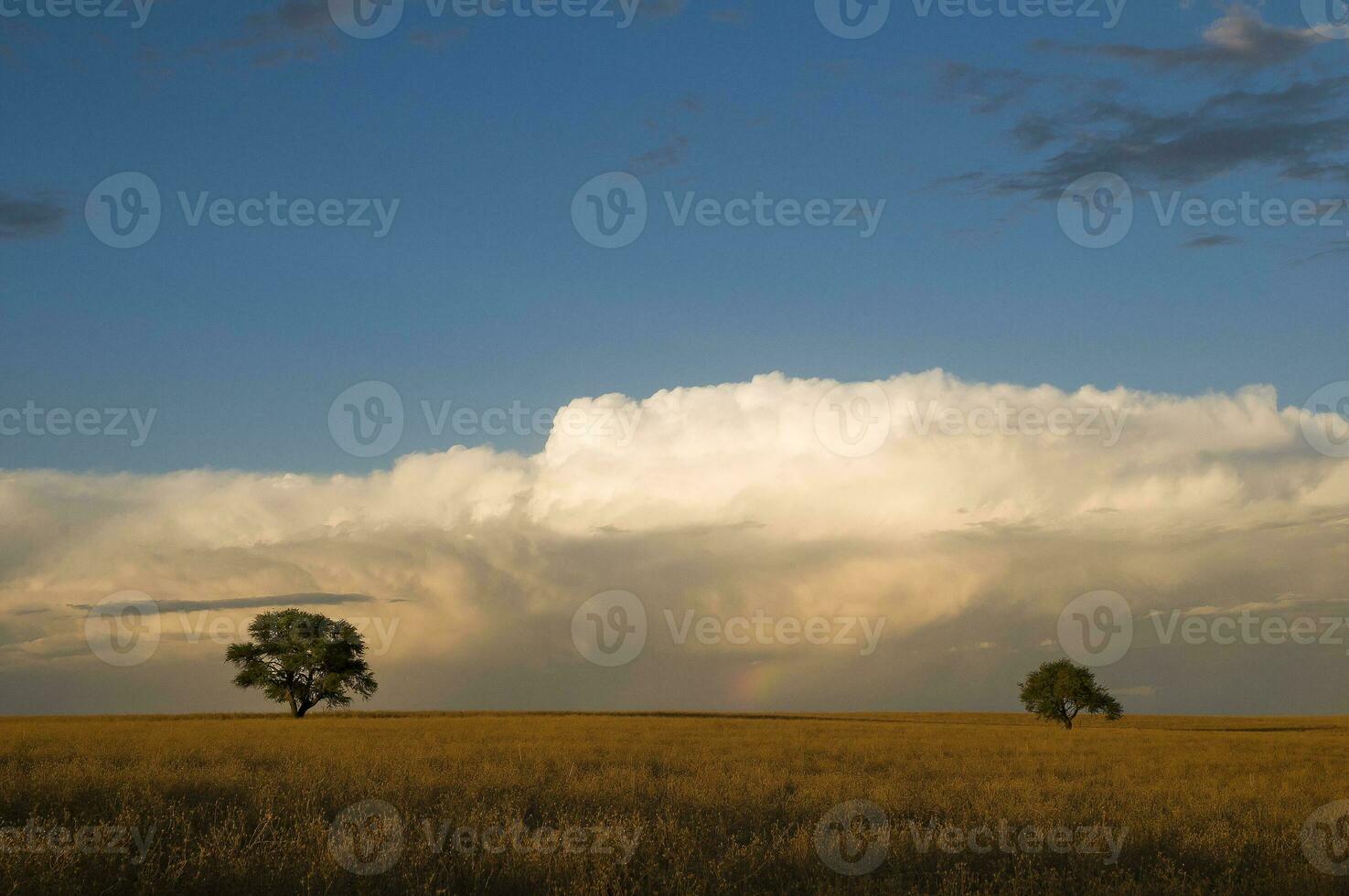 un grande nube en el cielo foto